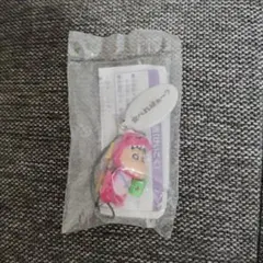 【未開封】クレヨンしんちゃん チョコビ ワニ山さん 当たり商品(非売品)