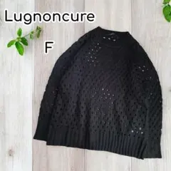 Lugnoncure アクリルメッシュニット　セーター　長袖　透かし編み　黒