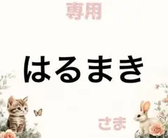 専用
