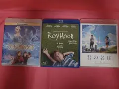 Item thumbnail for item a39012fa-c911-4033-87db-fdfdd687c3a3