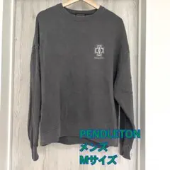 PENDLETON スウェット トレーナー グレー Mサイズのサムネイル