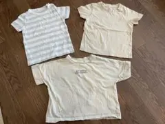 シンプル　半袖シャツ３枚セット　90〜95