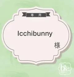 Icchibunny様専用
