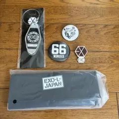EXO 상품 세트 키 체인 캔 배지 파우치