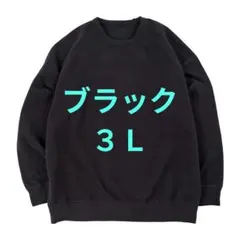 今季　完売品　ワークマン メディヒール フリースタイプ ルームトレーナー 3L