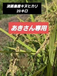 淡路島産キヌヒカリ20キロのサムネイル