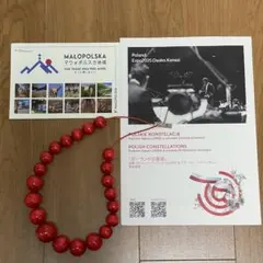 2025年最新】ポーランドパビリオンの人気アイテム - メルカリ