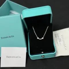 Item thumbnail for item 356e852d-d0ae-49af-a0b4-012f54264205