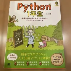 python IT