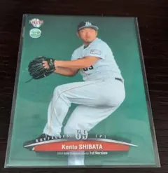 Item thumbnail for item 52af802c-70d7-4887-a8a9-12407ce857e4