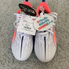 【21.0センチ】PUMA サッカーシューズ 107930 04