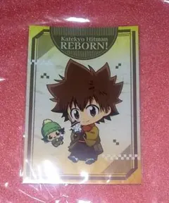 沢田綱吉&リボーン ポストカード 冬着物 特典