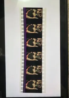 Item thumbnail for item 7419e67c-e9fb-4bc7-9013-c91b722d0bed