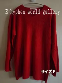 E hyphen world gallery 長袖ニット サイズF