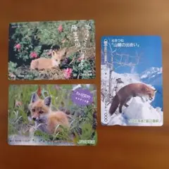 Item thumbnail for item 8d21928c-16c4-4d80-9e7d-44289a756683