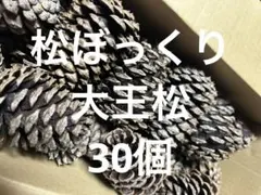 Item thumbnail for item 57a5bed0-a77b-425b-8b2a-b935b8963c00