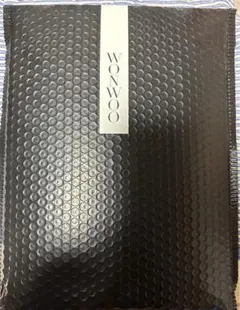 SEVENTEEN ウォヌ　バパケ