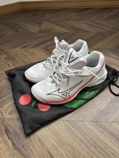 新品未使用ミズノ ウエーブクロー EL 2 WIDE ホワイト ウエーブクローEL2(バドミントン)|71GA2280_p|シューズ