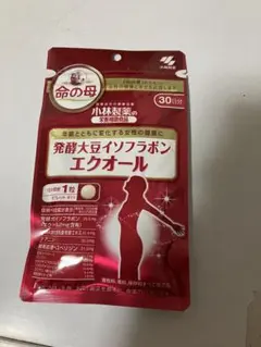 Item thumbnail for item e785c507-37e1-4b01-824b-98455e3ec060