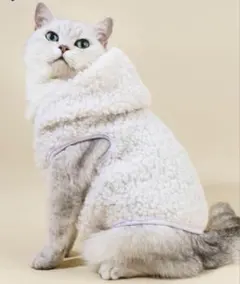 Item thumbnail for item c3d65c70-b6e0-4c1d-a0c2-b56135291dac