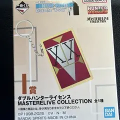 HUNTER×HUNTER 一番くじ　ダブルハンターライセンス