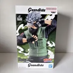 Item thumbnail for item 558ca6c3-c56c-44ce-beda-b860b105f40e