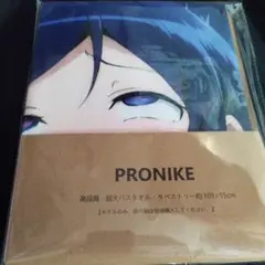 PRONIKE キャラクタータオル 約105×55cmシークレット