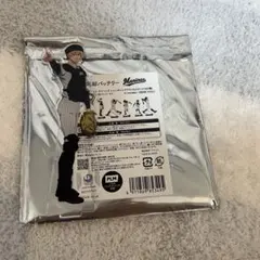 忘却バッテリー 要圭 智将要圭 BIGアクリルスタンド 雪遊び - メルカリ