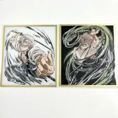 鬼滅の刃 WEBSHOPくじ アクリル色紙 不死川実弥 C41 C49 2点