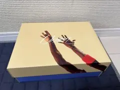 UNION × NIKE AIR JORDAN 4 