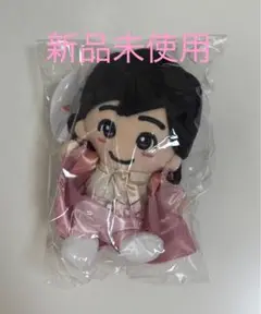 新品未使用 なにわ男子　道枝駿佑　ちびぬい　第二弾