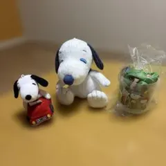 本日発送新品未使用品スヌーピーぬいぐるみ２点&コップ巾着袋セット