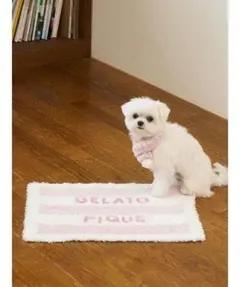 ジェラートピケ「CAT＆DOG」ジェラートメランジ2ボーダーブランケット