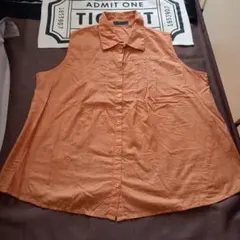 Item thumbnail for item 37f8c39e-05a6-4910-979d-ab6c4a871a8c