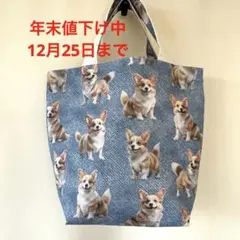 Item thumbnail for item 9c086aee-6d37-4fe6-a467-4bb0f4bcf4f8