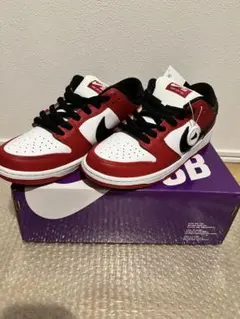 NIKE SB DUNK LOW PRO 