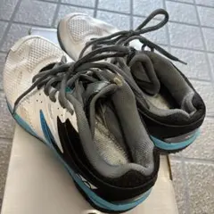 24.5バドミントンシューズ ヨネックス