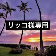リッコ様専用です