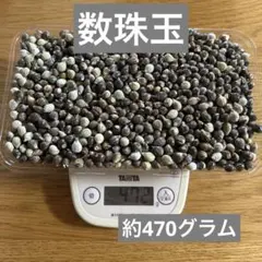 Item thumbnail for item f6d0c951-6ffd-4beb-b73e-f38a19bcbb4f