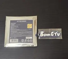 TXT ボムギュ アクリルチャーム