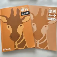 2026年最新】四谷大塚 予習シリーズ 4年 理科の人気アイテム - メルカリ