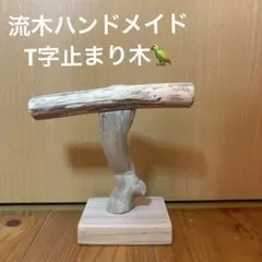 天然木バードジム 止まり木 NO1 cricket様確認用 天然木バードジム 止まり木 NO1 cricket様確認用 - メルカリ