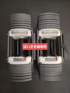 可変式ダンベル SPORT 9.0 パワーブロック 41kg × 2セット ① - メルカリ