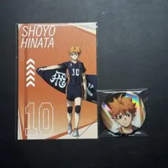 ハイキュー!! ハイキュープラザ 特典 TD缶バッジ 日向翔陽