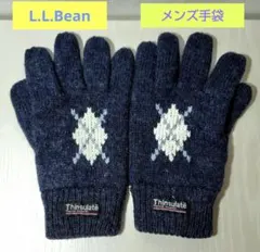 【訳あり】L.L.Bean ニット手袋 ※内側にほつれ有り