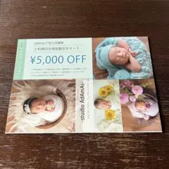 Studio adamas ニューボーンフォト割引チケット