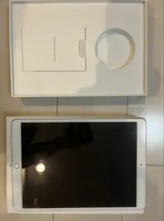 iPad mini5 第5世代 64GB Silver 超美品 【訳あり】 - メルカリ