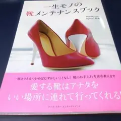 一生モノの靴メンテナンスブック