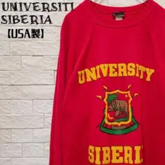 US古着 古着 カレッジロゴ スウェット トレーナー アメカジ