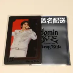 Stray Kids スキズ アイエン I.N ライブフォトカード トレカ